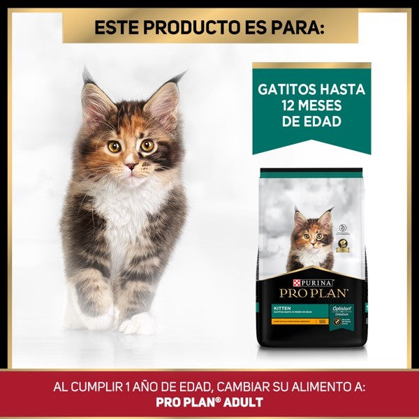 Purina® Pro Plan® Kitten, Alimento Seco OptiStart Pollo, bulto de 3kg